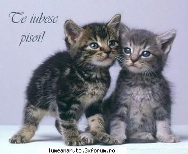 ce parere aveti?  eu zic ca e fain animeul asta :rolleyes:  :rolleyes:  :rolleyes: imi place de hay